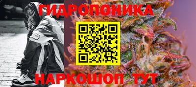 сатива Заводоуковск