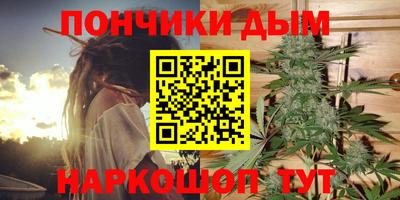 сатива Заводоуковск
