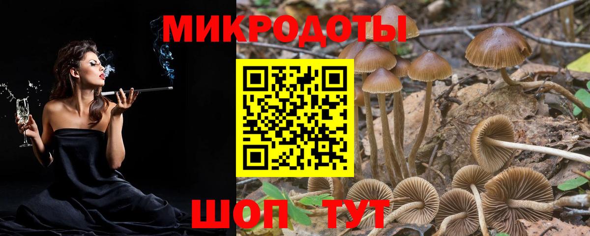 Псилоцибиновые грибы Psilocybe  Вход с VPN  Лабытнанги 