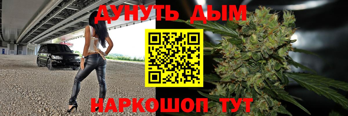 Шишки марихуана планчик Лабытнанги