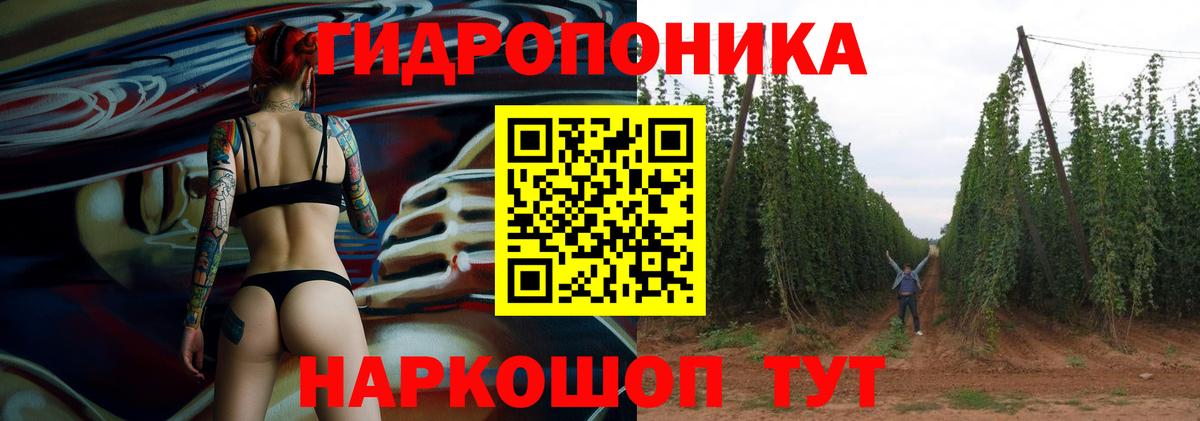 Бошки марихуана Ganja  Марихуана конопля  Лабытнанги  Вход с VPN 